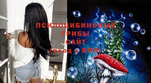 a pvp Беслан