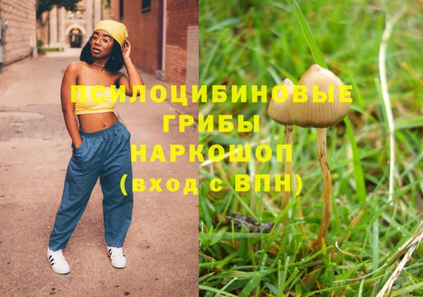 сатива Абдулино